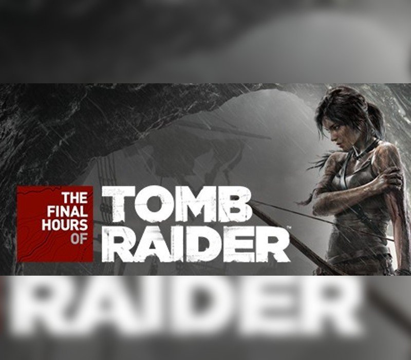 Tomb Raider - The Final Hours Digital Book