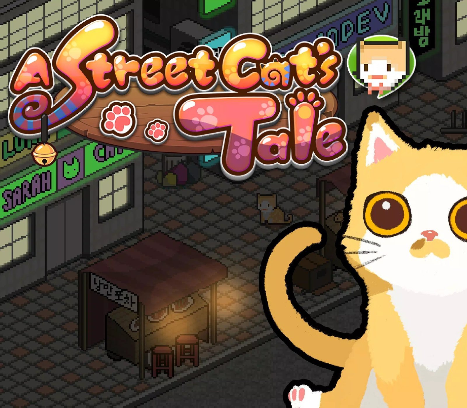 A Street Cat's Tale 