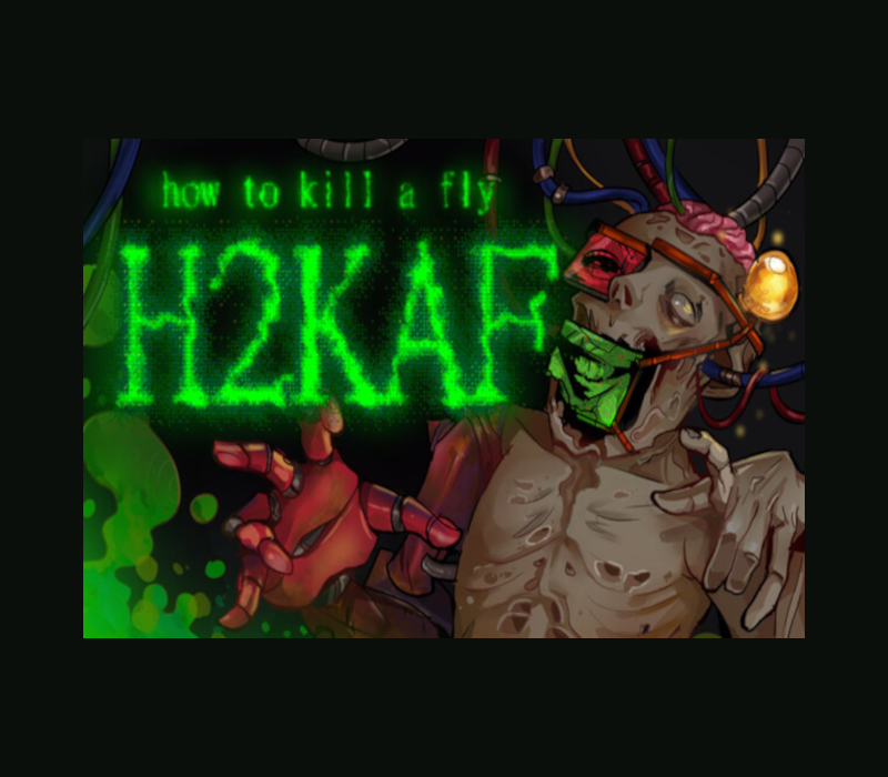 how to kill a fly H2KAF 