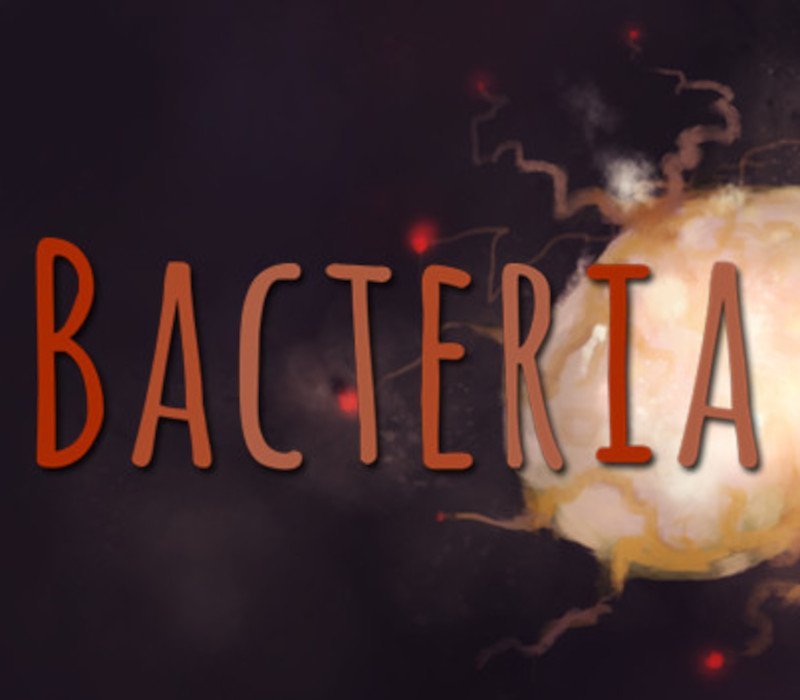 Bacteria 