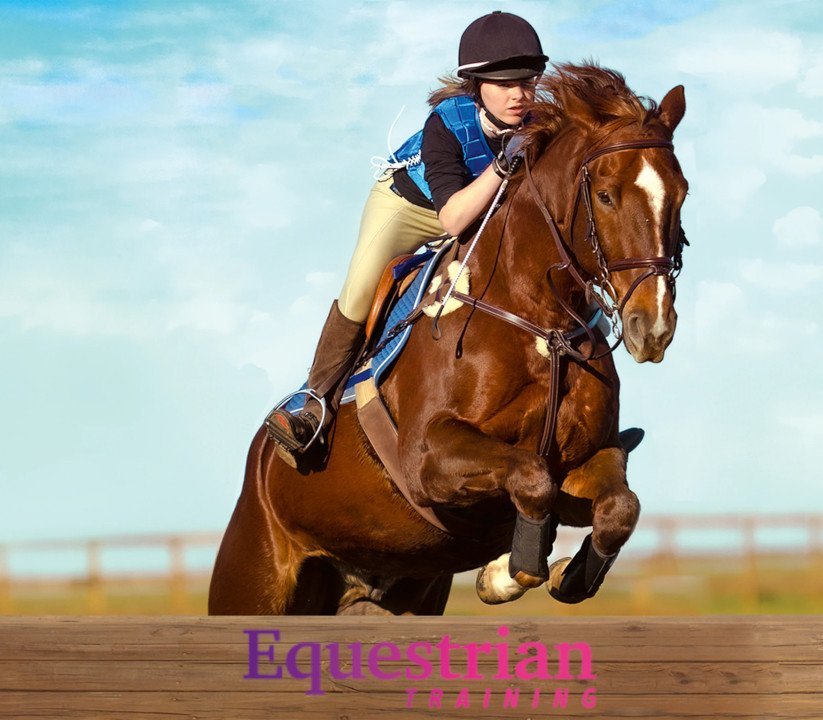 Equestrian Training 