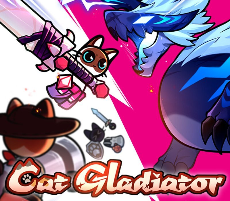 Cat Gladiator 