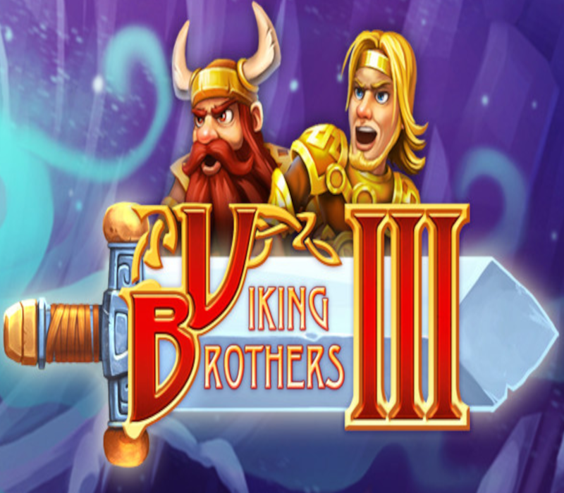 Viking Brothers 3 