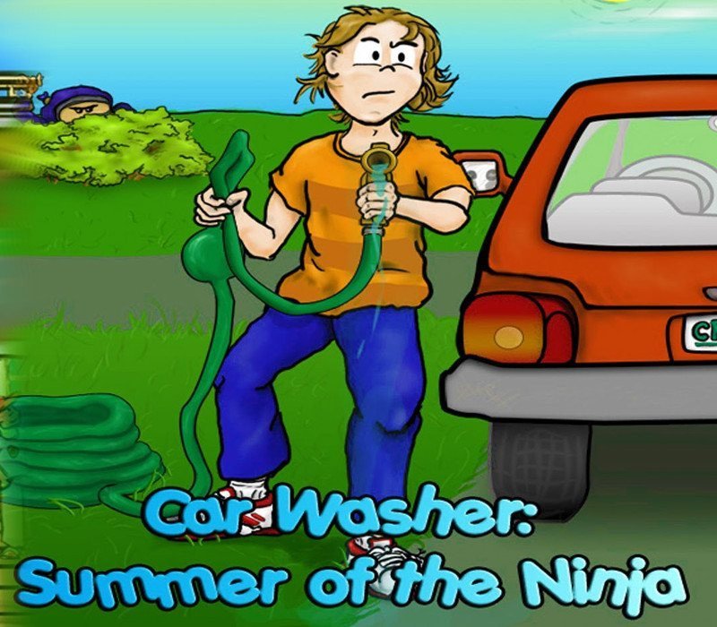 Car Washer: Summer of the Ninja