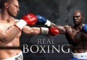 Real Boxing