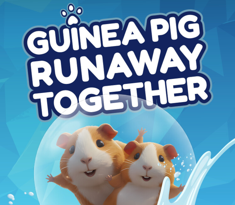 Guinea Pig Runaway Together 