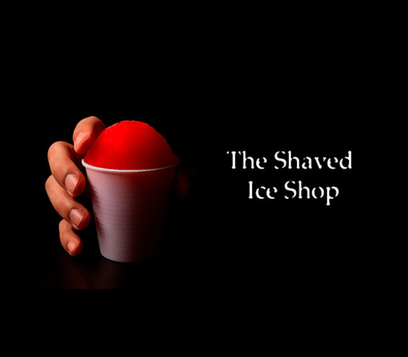 The shaved ice shop 