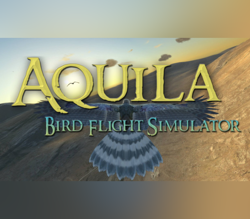Aquila Bird Flight Simulator