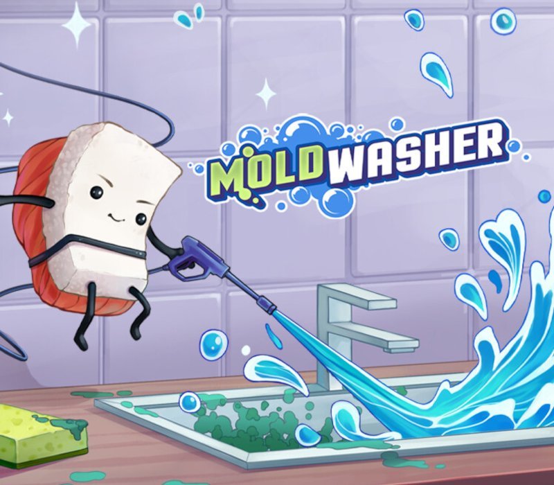 Moldwasher 