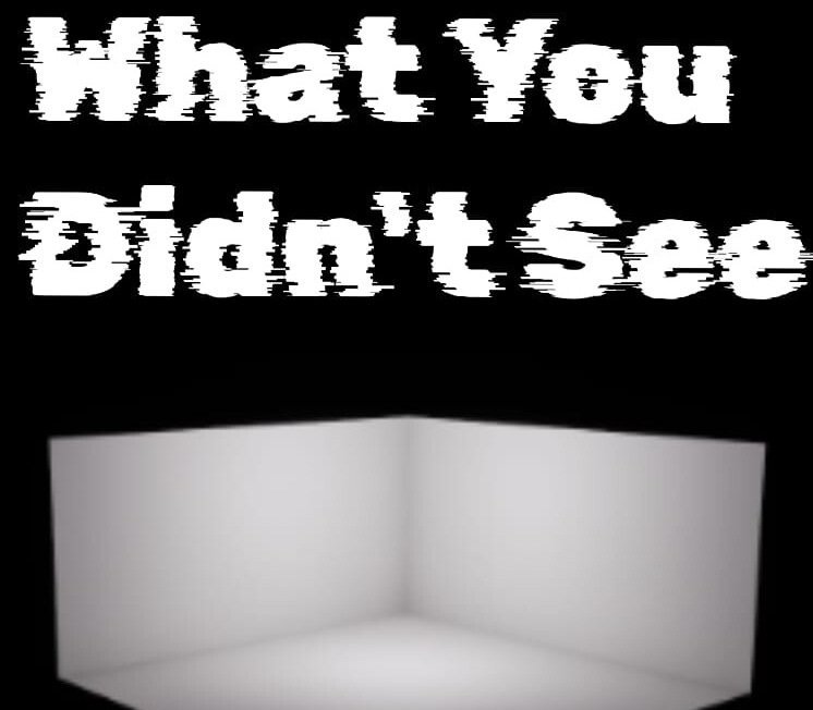 What You Didn't See 