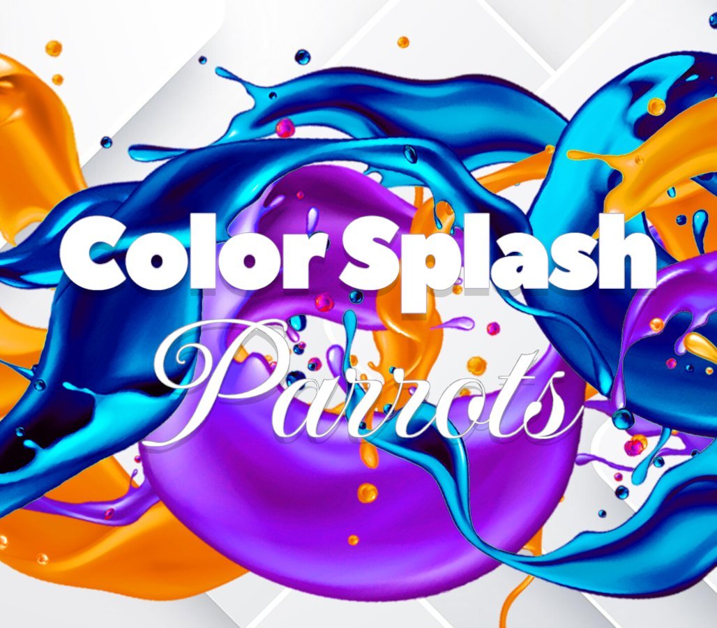 Color Splash: Parrots 