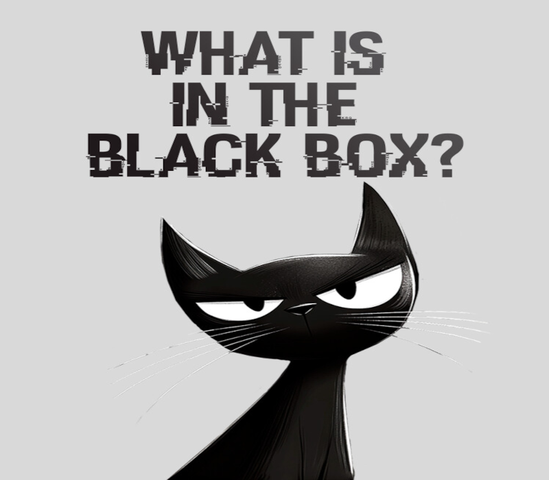 What is in the Black Box?