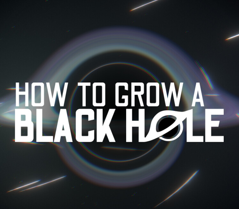 How To Grow a Black Hole 