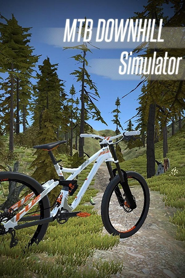 MTB Downhill Simulator