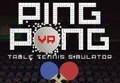 VR Ping Pong