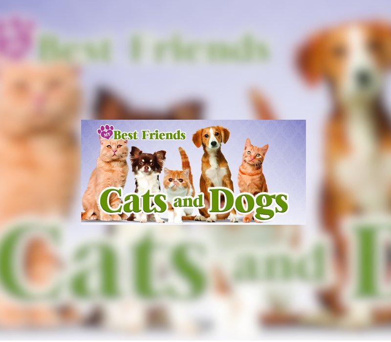 My Best Friends - Cats & Dogs 