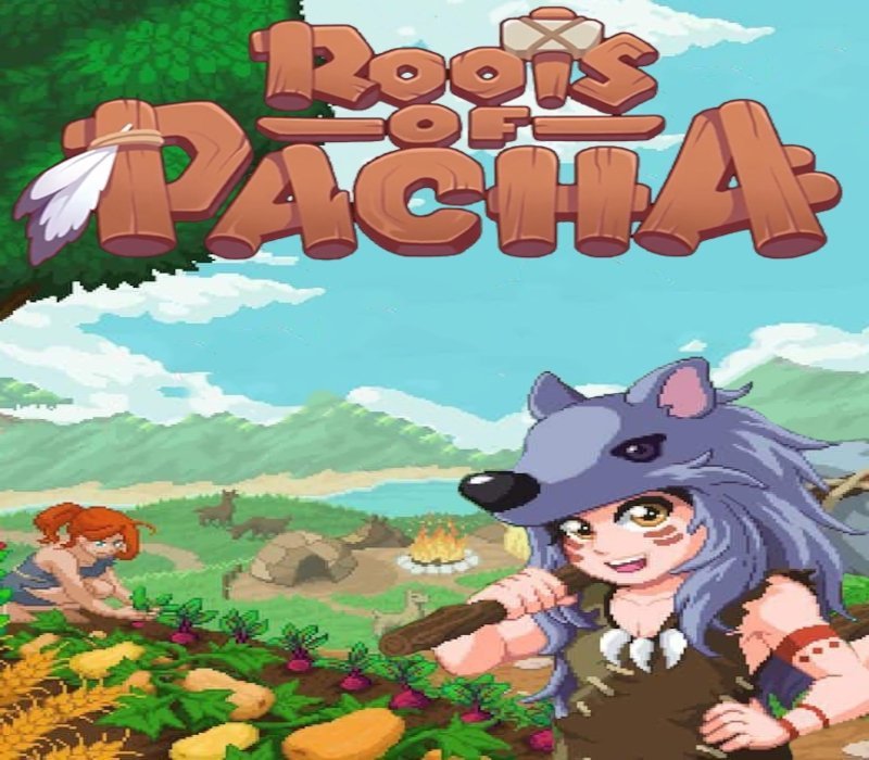 Roots of Pacha 