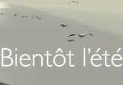 Bientôt l'été Ste
