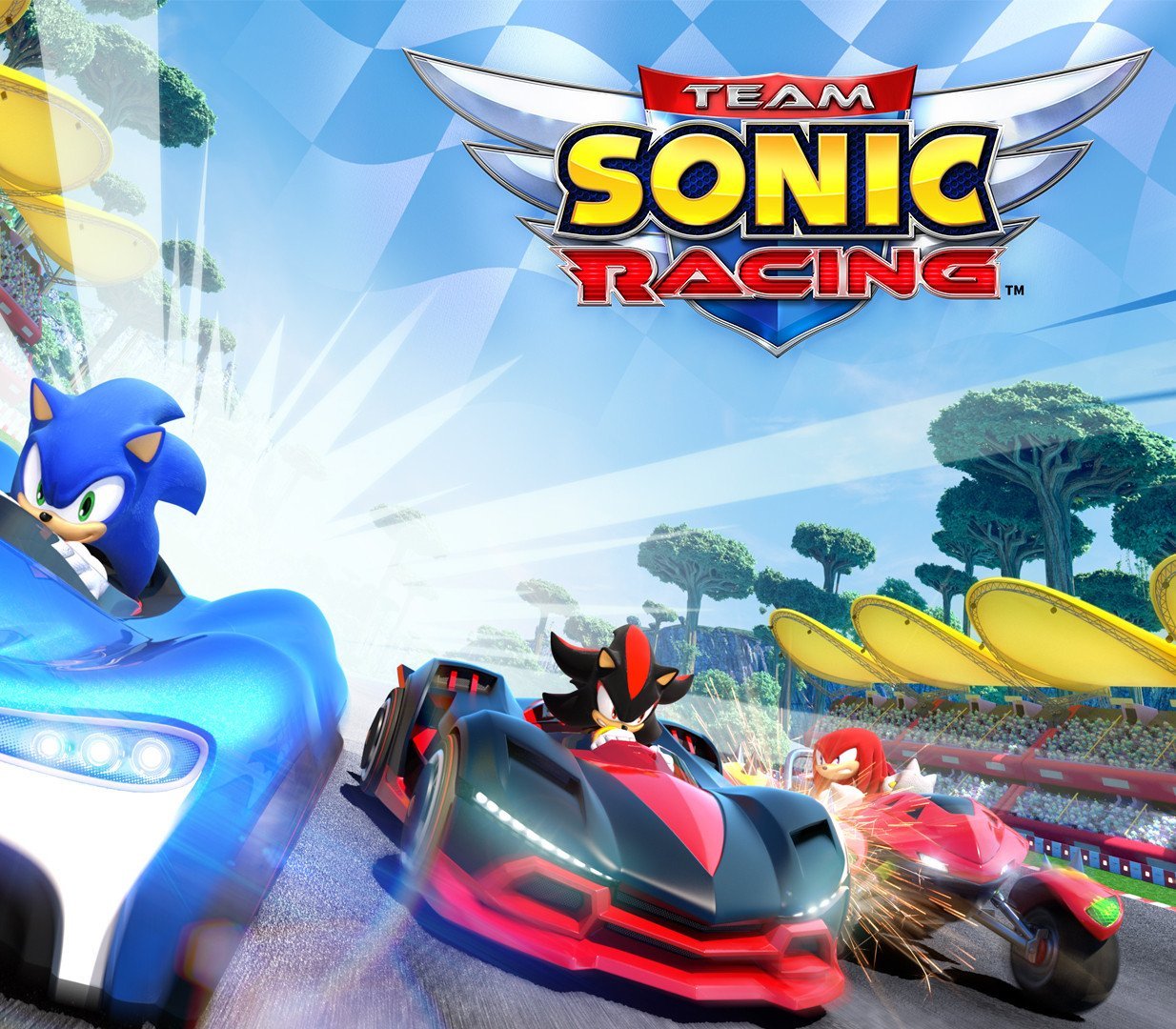 Team Sonic Racing 
