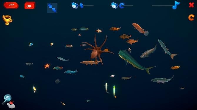 How Much Items - Fishes 