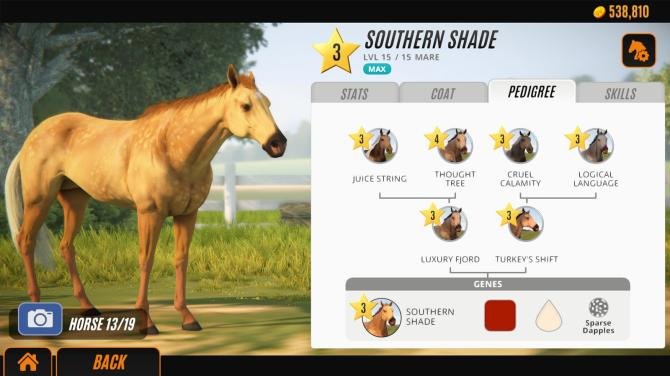 Rival Stars Horse Racing: Desktop Edition 
