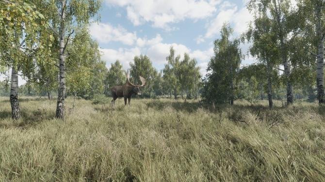On the Hunt 