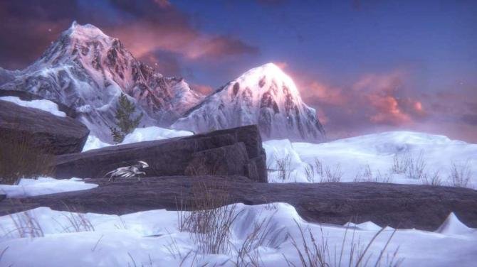 Embers of Mirrim 