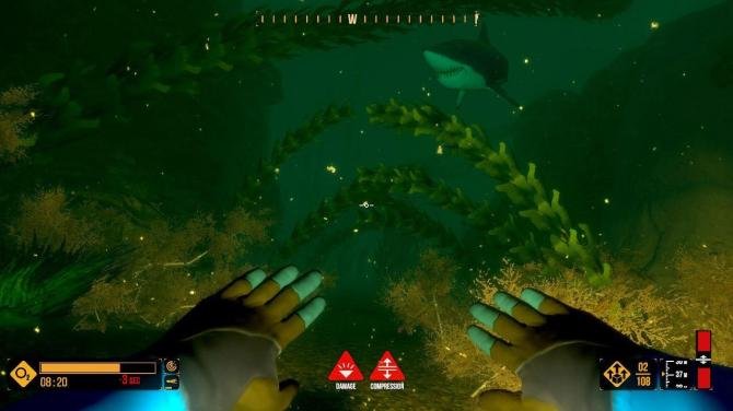 Deep Diving Adventures 