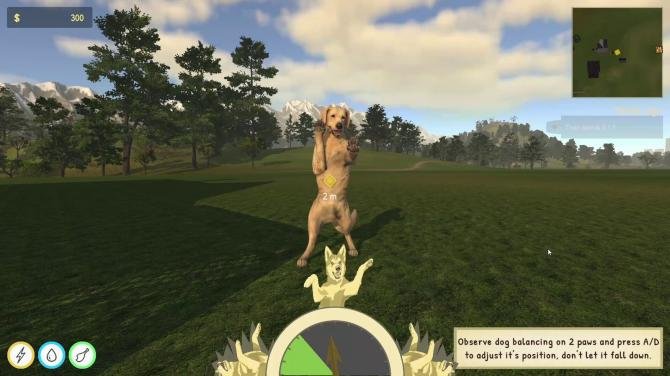 Animal Trainer Simulator 