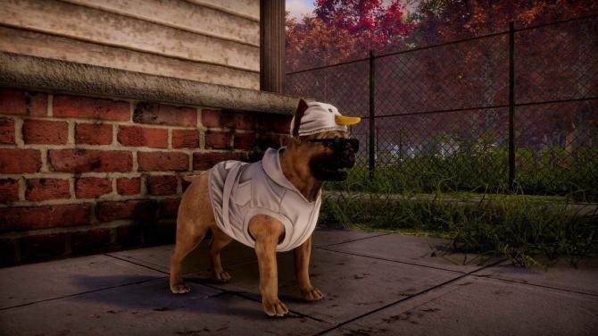 Animal Shelter 2 