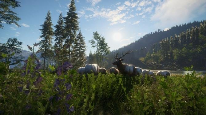 theHunter: Call of the Wild - Hunting Starter Pack Bundle 
