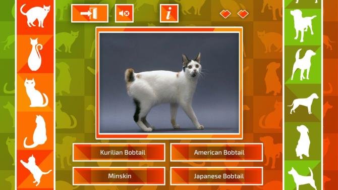 JQ: dogs & cats 