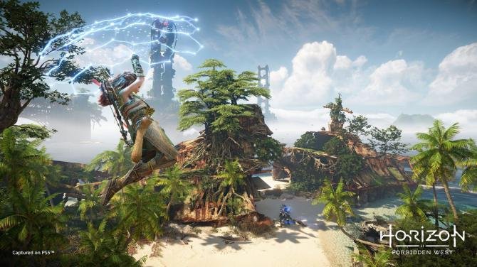 Horizon Forbidden West PS4/PS5 Access 