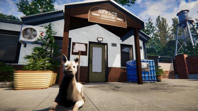 Animal Shelter 