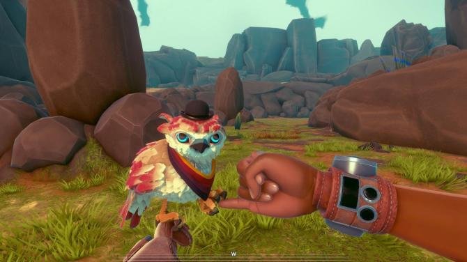 Falcon Age 