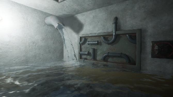 The Door in the Basement 