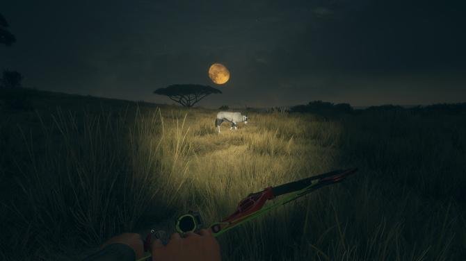 theHunter: Call of the Wild - Seasoned Hunter Bundle 