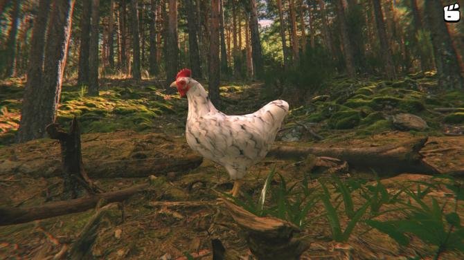 Catch the Chiken 