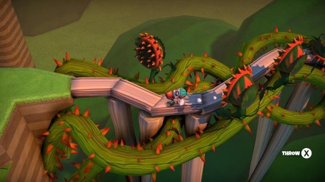 Raccoo Venture 
