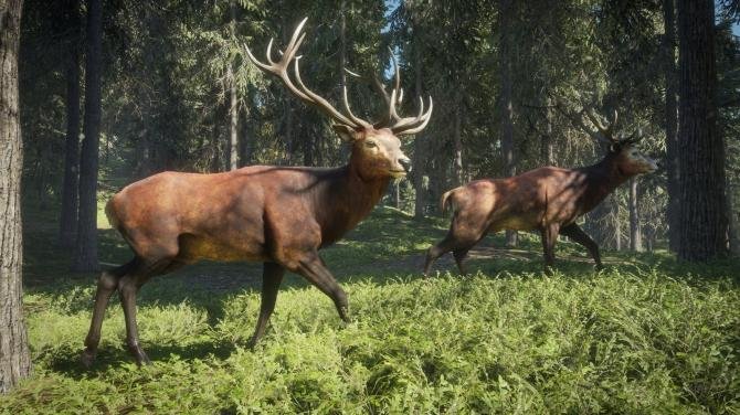 theHunter: Call of the Wild - Ultimate Starter Bundle 