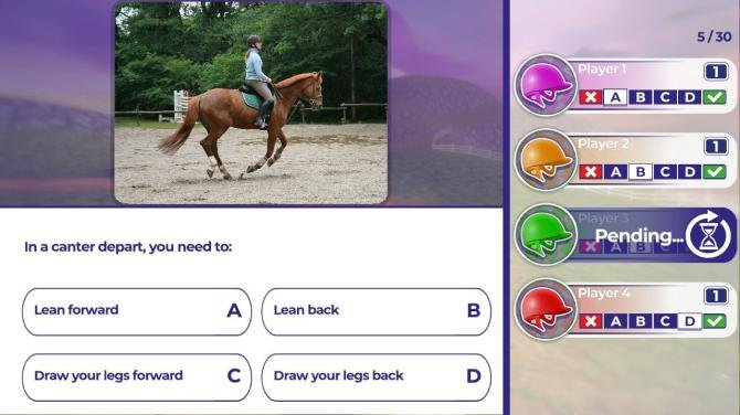 Equestrian Training 