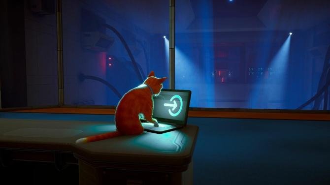 Schrodinger's Cat Burglar 