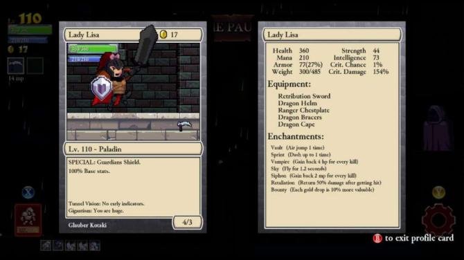 Rogue Legacy 