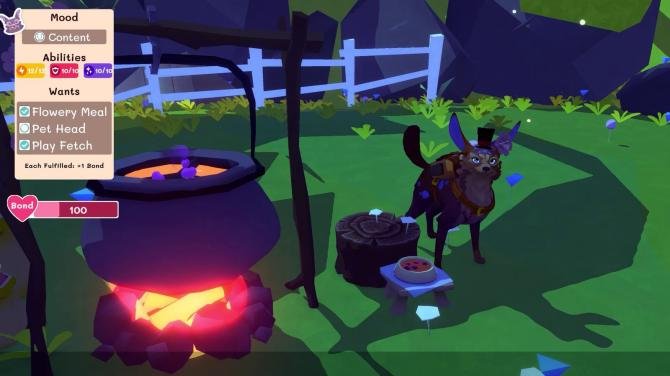 Stay: Your Forever Pet! 