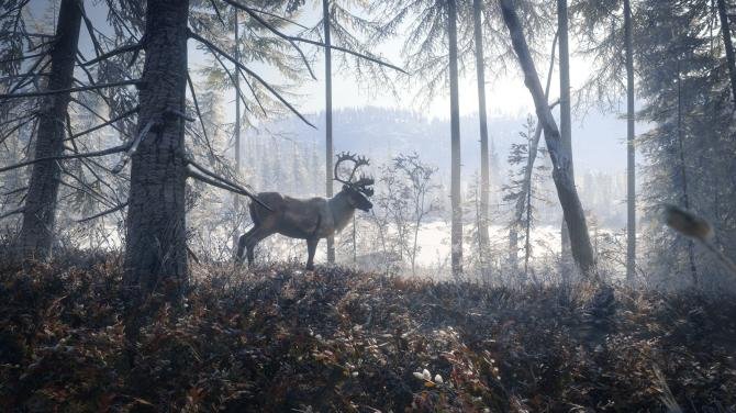 theHunter: Call of the Wild - Master Hunter Bundle 