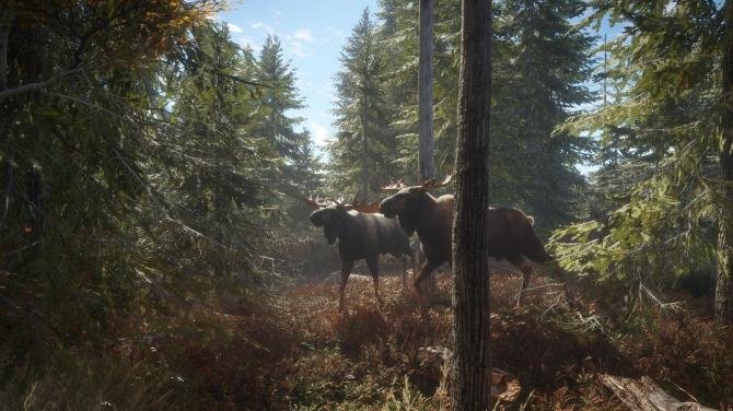 theHunter: Call of the Wild - Hunting Starter Pack Bundle 
