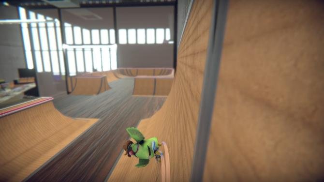 SkateBIRD 