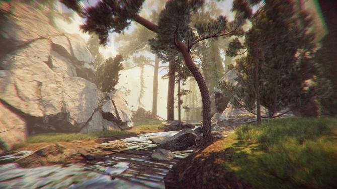 The Forest Cathedral 