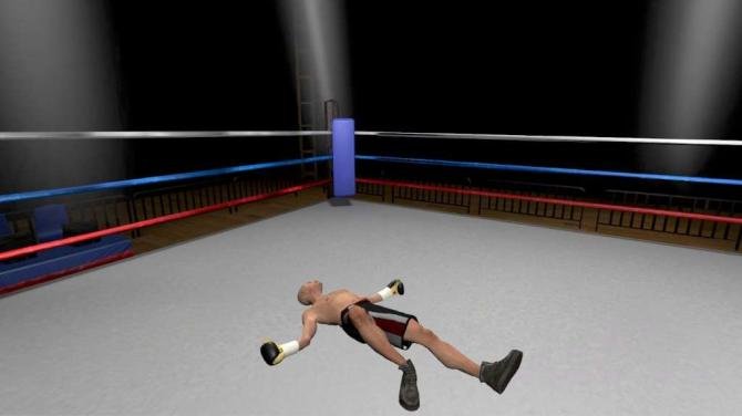 The Thrill of the Fight - VR Boxing 