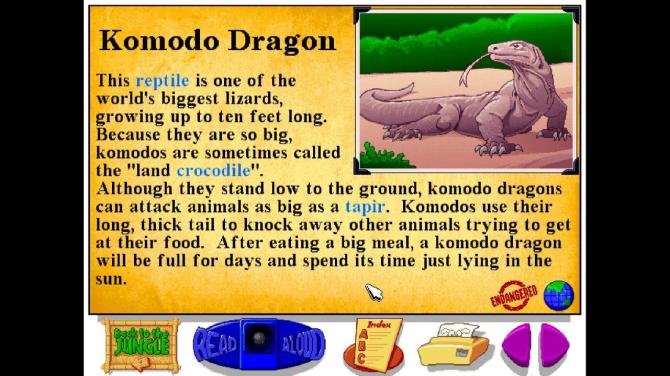 Let's Explore the Jungle (Junior Field Trips) 